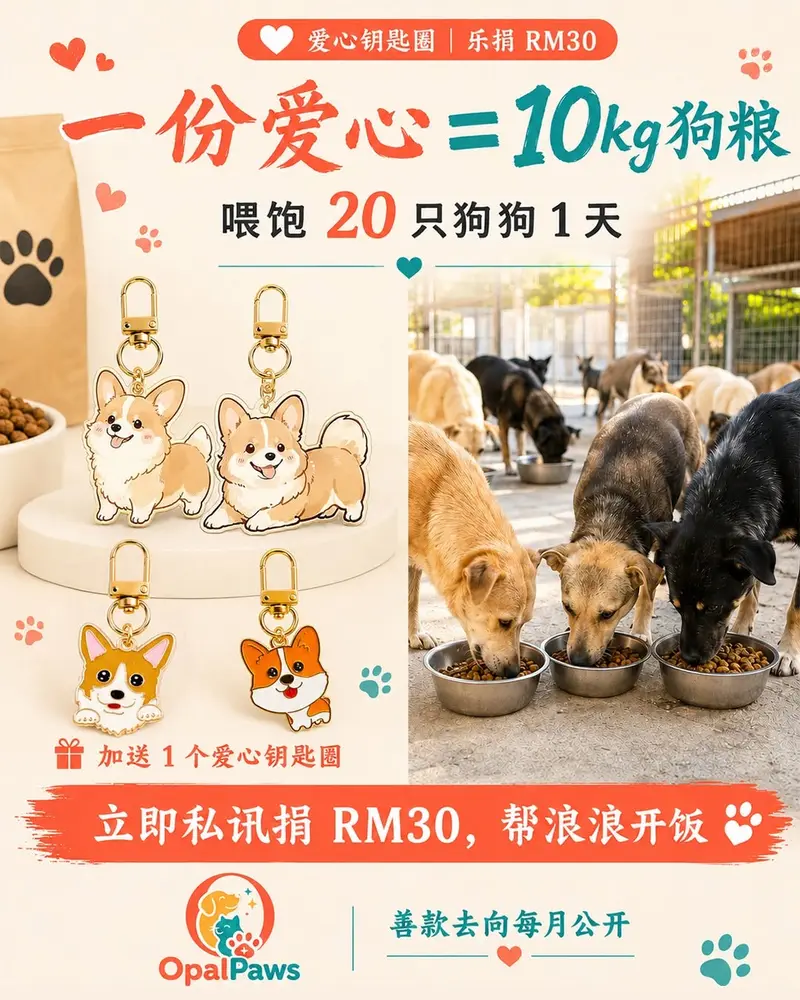 Opal Paws RM30 狗粮筹款海报，附爱心钥匙圈